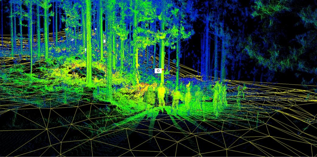 ウォークスルーで林内を確認