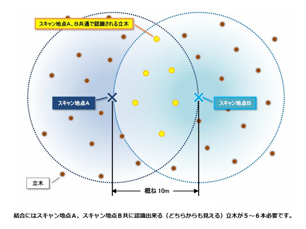 共通認識立木