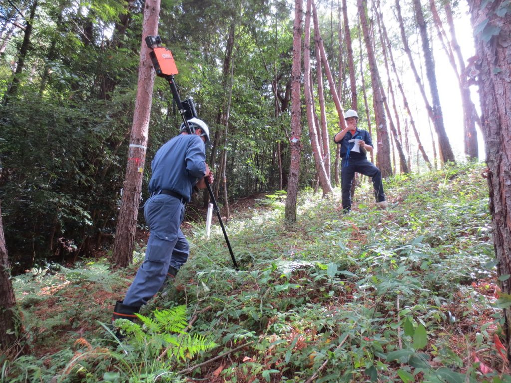 赤松試験林で計測体験